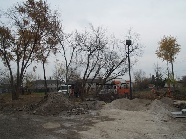 clearing out the scrub from the back