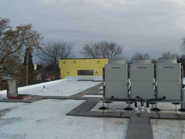 patio stone walkway on roof to protect surface